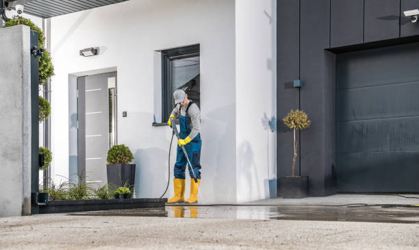 Best Fence Cleaning and Maintenance in Loch Lomond, VA